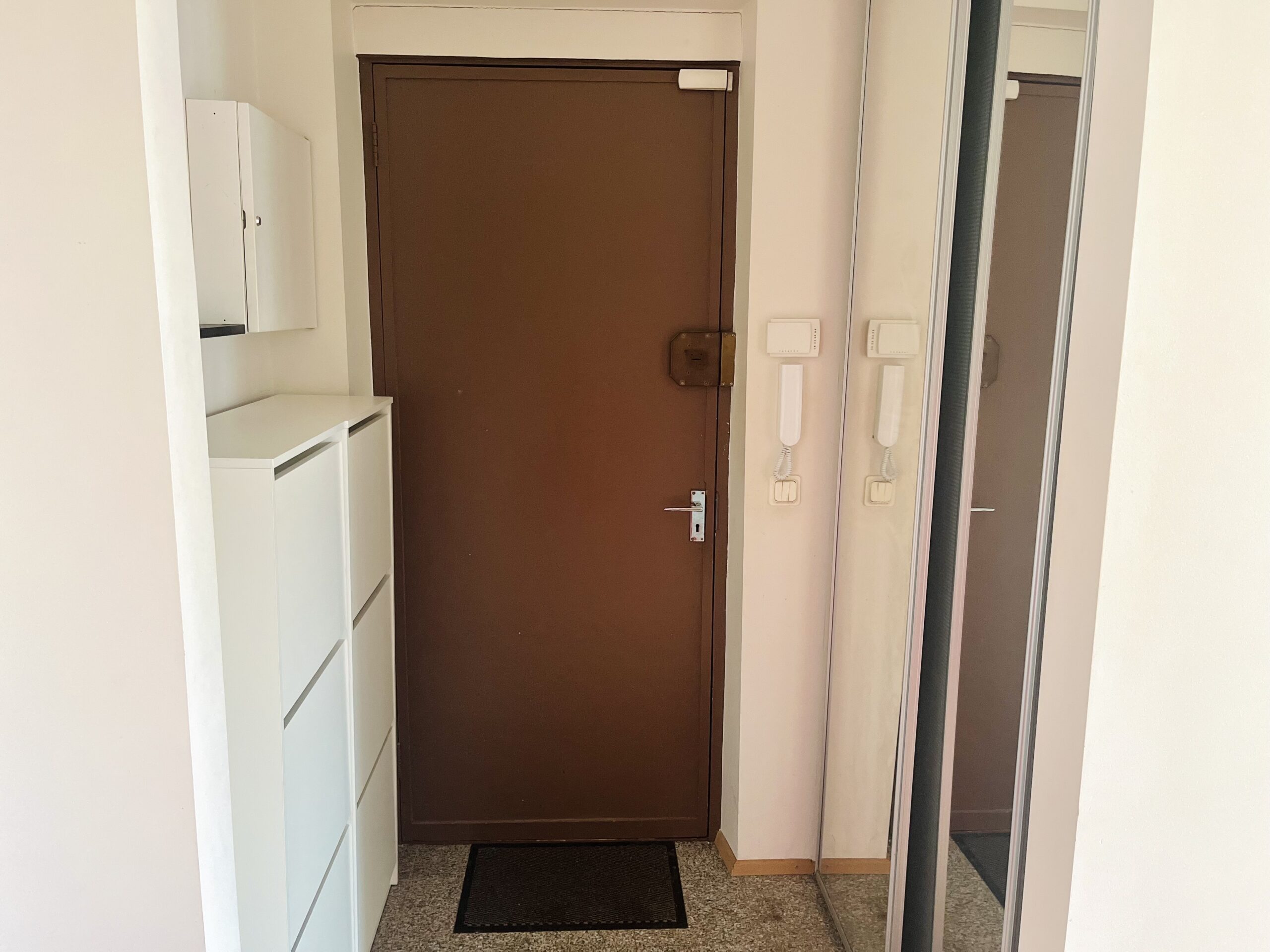 Front door Kentmanni 10-29